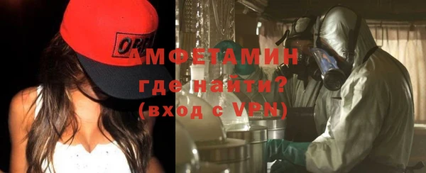 прущие грибы Верхний Тагил