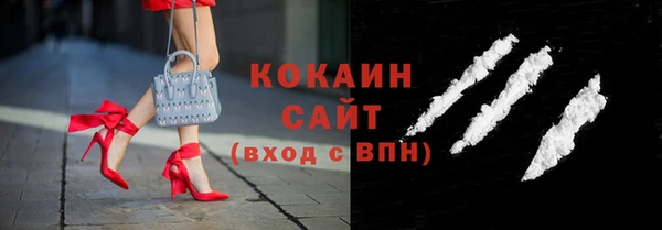 прущие грибы Верхний Тагил