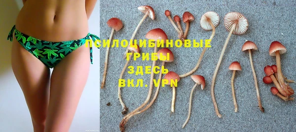 кокаин Бородино