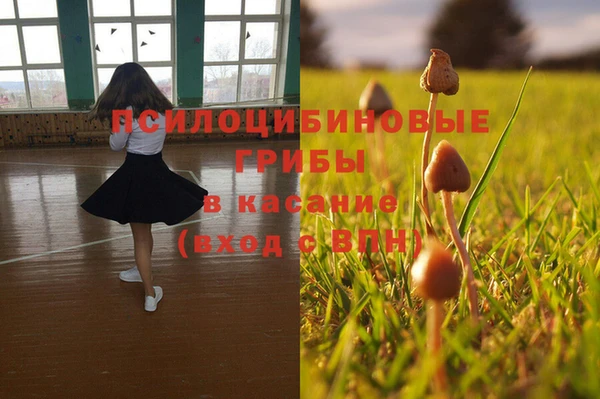 эйфоретик Бронницы