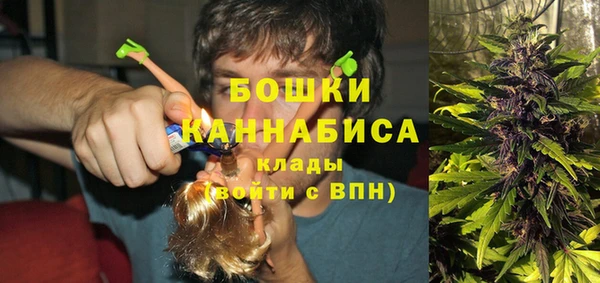спайс Верея
